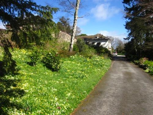 Sandhill House Country House Retreat Bed and Breakfast Gunnislake Buitenkant foto