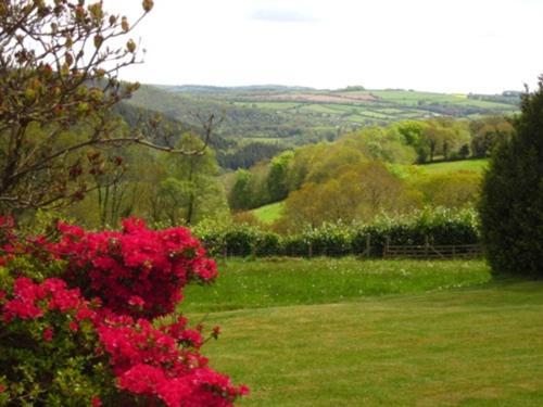 Sandhill House Country House Retreat Bed and Breakfast Gunnislake Buitenkant foto