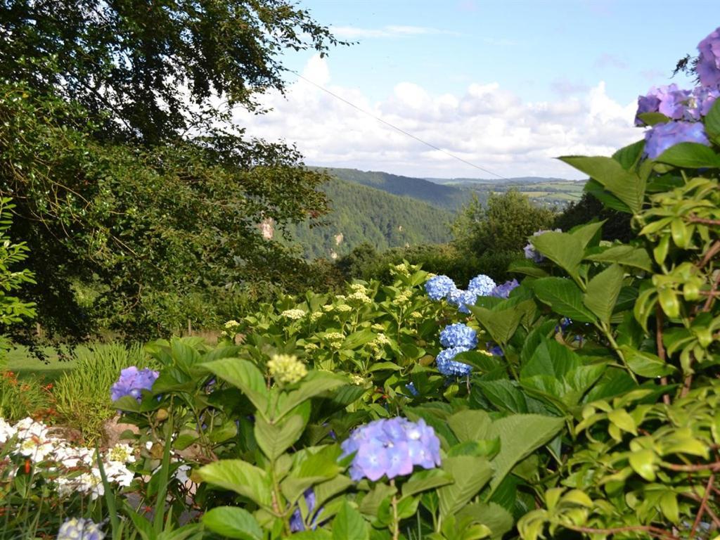 Sandhill House Country House Retreat Bed and Breakfast Gunnislake Buitenkant foto